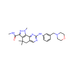 CNC(=O)c1nn(C)c2c1C(C)(C)Cc1cnc(Nc3cccc(CN4CCOCC4)c3)nc1-2 ZINC000042201290