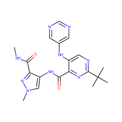 CNC(=O)c1nn(C)cc1NC(=O)c1nc(C(C)(C)C)ncc1Nc1cncnc1 ZINC000169701716