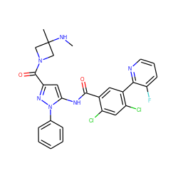 CNC1(C)CN(C(=O)c2cc(NC(=O)c3cc(-c4ncccc4F)c(Cl)cc3Cl)n(-c3ccccc3)n2)C1 ZINC001772648302