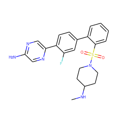 CNC1CCN(S(=O)(=O)c2ccccc2-c2ccc(-c3cnc(N)cn3)c(F)c2)CC1 ZINC000212140609