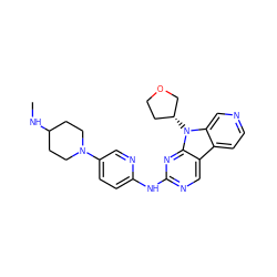 CNC1CCN(c2ccc(Nc3ncc4c5ccncc5n([C@@H]5CCOC5)c4n3)nc2)CC1 ZINC000169706883