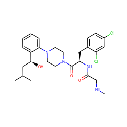 CNCC(=O)N[C@H](Cc1ccc(Cl)cc1Cl)C(=O)N1CCN(c2ccccc2[C@@H](O)CC(C)C)CC1 ZINC000044418009