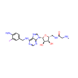 CNCC(=O)NC[C@H]1O[C@@H](n2cnc3c(NCc4ccc(N)c(I)c4)ncnc32)[C@H](O)[C@@H]1O ZINC000028115217