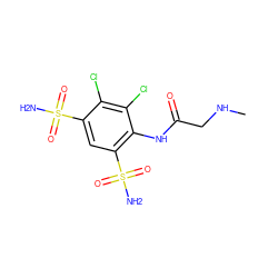 CNCC(=O)Nc1c(S(N)(=O)=O)cc(S(N)(=O)=O)c(Cl)c1Cl ZINC000013800510