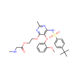 CNCC(=O)OCCOc1nc(C)nc(NS(=O)(=O)c2ccc(C(C)(C)C)cc2)c1Oc1ccccc1OC ZINC000028105722