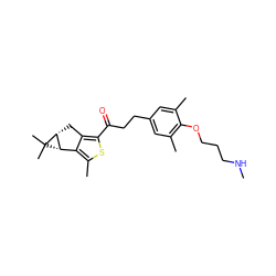 CNCCCOc1c(C)cc(CCC(=O)c2sc(C)c3c2C[C@@H]2[C@H]3C2(C)C)cc1C ZINC000043132233