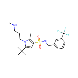 CNCCCn1c(C(C)(C)C)cc(S(=O)(=O)NCc2cccc(C(F)(F)F)c2)c1C ZINC000220800066