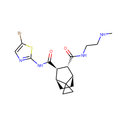 CNCCNC(=O)[C@H]1[C@H](C(=O)Nc2ncc(Br)s2)[C@@H]2CC[C@H]1C21CC1 ZINC000168334157