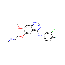 CNCCOc1cc2c(Nc3ccc(F)c(Cl)c3)ncnc2cc1OC ZINC000029555746