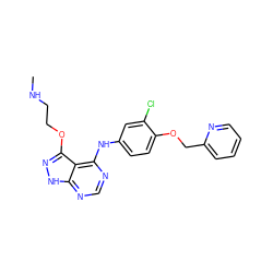 CNCCOc1n[nH]c2ncnc(Nc3ccc(OCc4ccccn4)c(Cl)c3)c12 ZINC000029128814