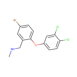 CNCc1cc(Br)ccc1Oc1ccc(Cl)c(Cl)c1 ZINC000034044260