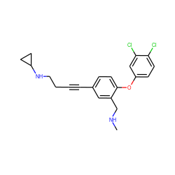 CNCc1cc(C#CCCNC2CC2)ccc1Oc1ccc(Cl)c(Cl)c1 ZINC000028825162