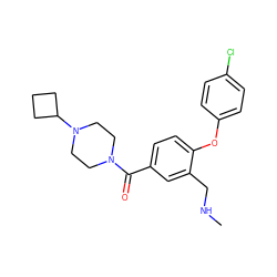 CNCc1cc(C(=O)N2CCN(C3CCC3)CC2)ccc1Oc1ccc(Cl)cc1 ZINC000029130902