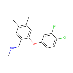 CNCc1cc(C)c(C)cc1Oc1ccc(Cl)c(Cl)c1 ZINC000034052328