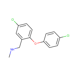 CNCc1cc(Cl)ccc1Oc1ccc(Cl)cc1 ZINC000040867065