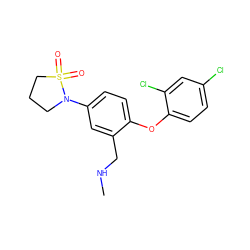 CNCc1cc(N2CCCS2(=O)=O)ccc1Oc1ccc(Cl)cc1Cl ZINC000029129574