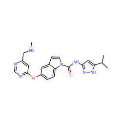 CNCc1cc(Oc2ccc3c(ccn3C(=O)Nc3cc(C(C)C)[nH]n3)c2)ncn1 ZINC000141875142