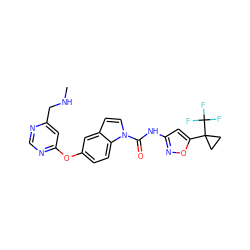 CNCc1cc(Oc2ccc3c(ccn3C(=O)Nc3cc(C4(C(F)(F)F)CC4)on3)c2)ncn1 ZINC000201314933