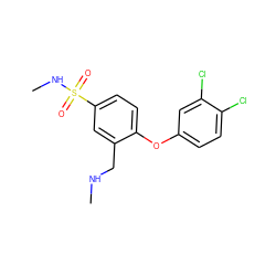 CNCc1cc(S(=O)(=O)NC)ccc1Oc1ccc(Cl)c(Cl)c1 ZINC000040848231