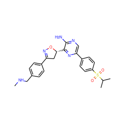 CNCc1ccc(C2=NO[C@H](c3nc(-c4ccc(S(=O)(=O)C(C)C)cc4)cnc3N)C2)cc1 ZINC000096273299