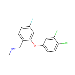 CNCc1ccc(F)cc1Oc1ccc(Cl)c(Cl)c1 ZINC000045498138