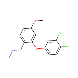 CNCc1ccc(OC)cc1Oc1ccc(Cl)c(Cl)c1 ZINC000034004668