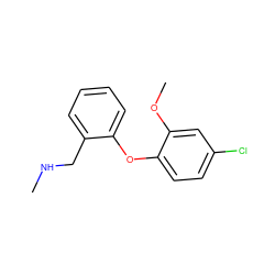 CNCc1ccccc1Oc1ccc(Cl)cc1OC ZINC000029129835