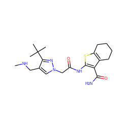 CNCc1cn(CC(=O)Nc2sc3c(c2C(N)=O)CCCC3)nc1C(C)(C)C ZINC000058638862