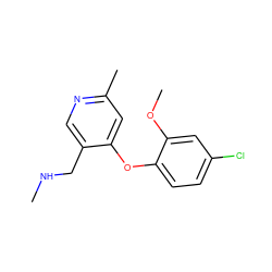 CNCc1cnc(C)cc1Oc1ccc(Cl)cc1OC ZINC000029046471