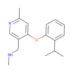 CNCc1cnc(C)cc1Oc1ccccc1C(C)C ZINC000029125206