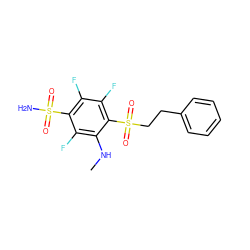 CNc1c(F)c(S(N)(=O)=O)c(F)c(F)c1S(=O)(=O)CCc1ccccc1 ZINC000209031184