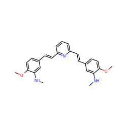 CNc1cc(/C=C/c2cccc(/C=C/c3ccc(OC)c(NC)c3)n2)ccc1OC ZINC000028948974