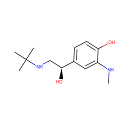 CNc1cc([C@@H](O)CNC(C)(C)C)ccc1O ZINC000026015410