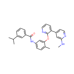 CNc1cc(-c2cccnc2Oc2cc(NC(=O)c3cccc(C(C)C)c3)ccc2C)ccn1 ZINC000028896887