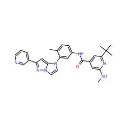 CNc1cc(C(=O)Nc2ccc(C)c(-n3ccn4nc(-c5cccnc5)cc34)c2)cc(C(C)(C)C)n1 ZINC000224194426