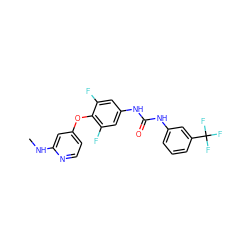 CNc1cc(Oc2c(F)cc(NC(=O)Nc3cccc(C(F)(F)F)c3)cc2F)ccn1 ZINC000653859586