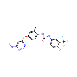 CNc1cc(Oc2ccc(NC(=O)Nc3ccc(Cl)c(C(F)(F)F)c3)c(C)c2)ncn1 ZINC001772570849