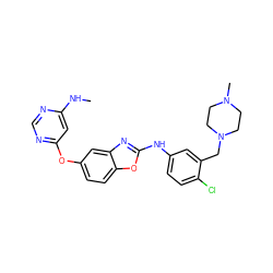 CNc1cc(Oc2ccc3oc(Nc4ccc(Cl)c(CN5CCN(C)CC5)c4)nc3c2)ncn1 ZINC000023359489