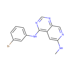 CNc1cc2c(Nc3cccc(Br)c3)ncnc2cn1 ZINC000021289032