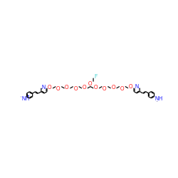 CNc1ccc(/C=C/c2ccc(OCCOCCOCCOCCOCC(COCCOCCOCCOCCOc3ccc(/C=C/c4ccc(NC)cc4)cn3)OCCF)nc2)cc1 ZINC000150540376