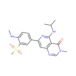 CNc1ccc(-c2cc3ncn(C)c(=O)c3c(NC(C)C)n2)cc1S(C)(=O)=O ZINC000115623969