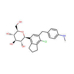 CNc1ccc(Cc2cc([C@@H]3O[C@H](CO)[C@@H](O)[C@H](O)[C@H]3O)c3c(c2Cl)CCC3)cc1 ZINC000142235188