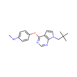 CNc1ccc(Oc2ncnc3c2ccn3CC(C)(C)C)cc1 ZINC000095553618