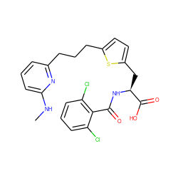 CNc1cccc(CCCc2ccc(C[C@H](NC(=O)c3c(Cl)cccc3Cl)C(=O)O)s2)n1 ZINC000043177291