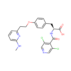 CNc1cccc(CCOc2ccc(C[C@H](NC(=O)c3c(Cl)cncc3Cl)C(=O)O)cc2)n1 ZINC000043197741