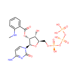 CNc1ccccc1C(=O)O[C@@H]1[C@H](O)[C@@H](CO[P@@](=O)(O)O[P@@](=O)(O)OP(=O)(O)O)O[C@H]1n1ccc(N)nc1=O ZINC000049757190