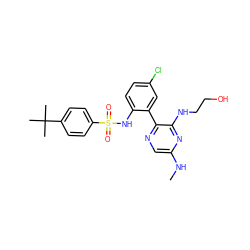 CNc1cnc(-c2cc(Cl)ccc2NS(=O)(=O)c2ccc(C(C)(C)C)cc2)c(NCCO)n1 ZINC000474609687
