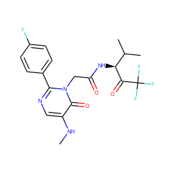 CNc1cnc(-c2ccc(F)cc2)n(CC(=O)N[C@H](C(=O)C(F)(F)F)C(C)C)c1=O ZINC000013516103