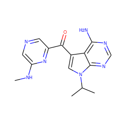 CNc1cncc(C(=O)c2cn(C(C)C)c3ncnc(N)c23)n1 ZINC000073222925