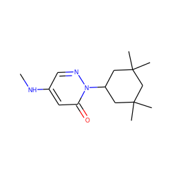 CNc1cnn(C2CC(C)(C)CC(C)(C)C2)c(=O)c1 ZINC000118638969